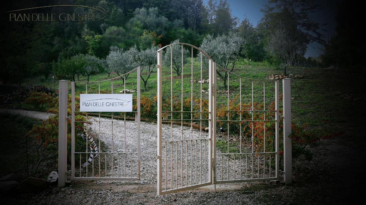 Glamping Pian Delle Ginestre * Sassetta