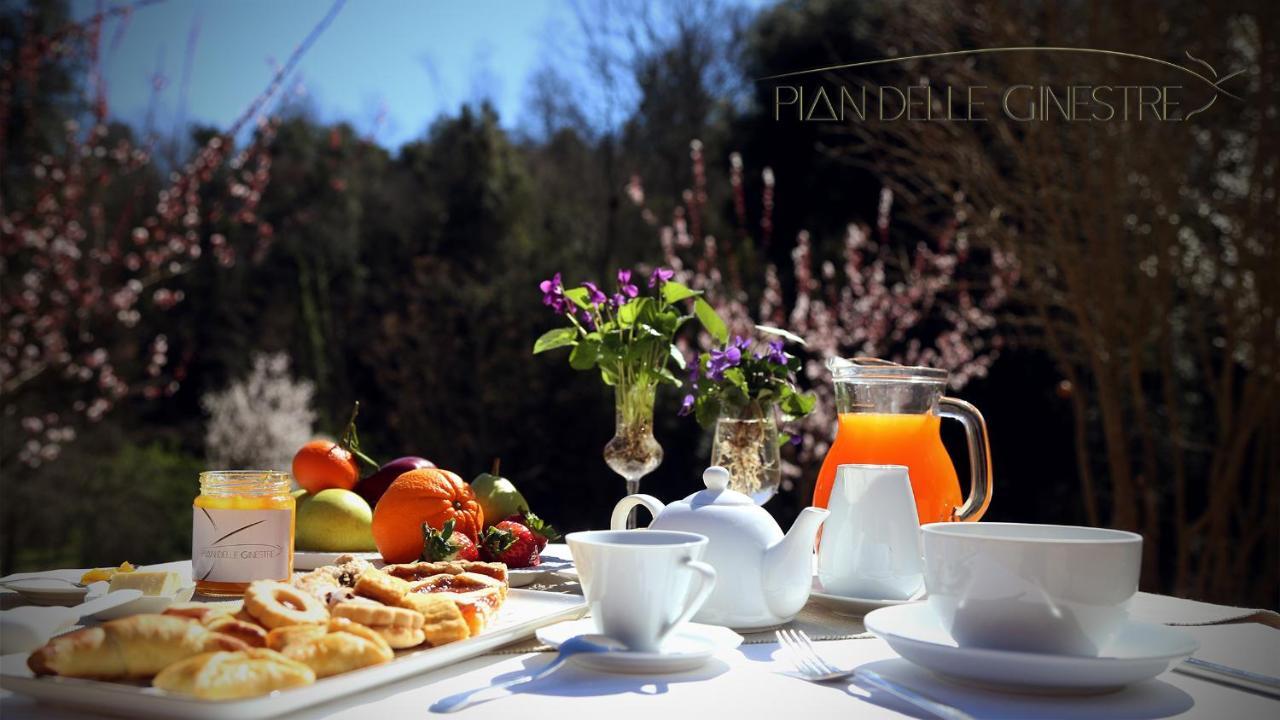 Glamping Pian Delle Ginestre
